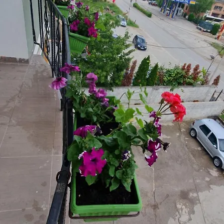 Arbi Apartment Kukes