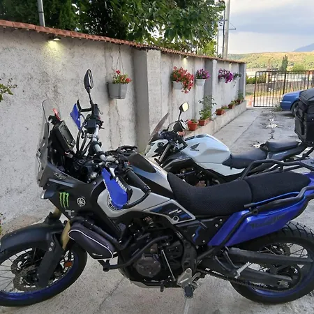 Arbi *